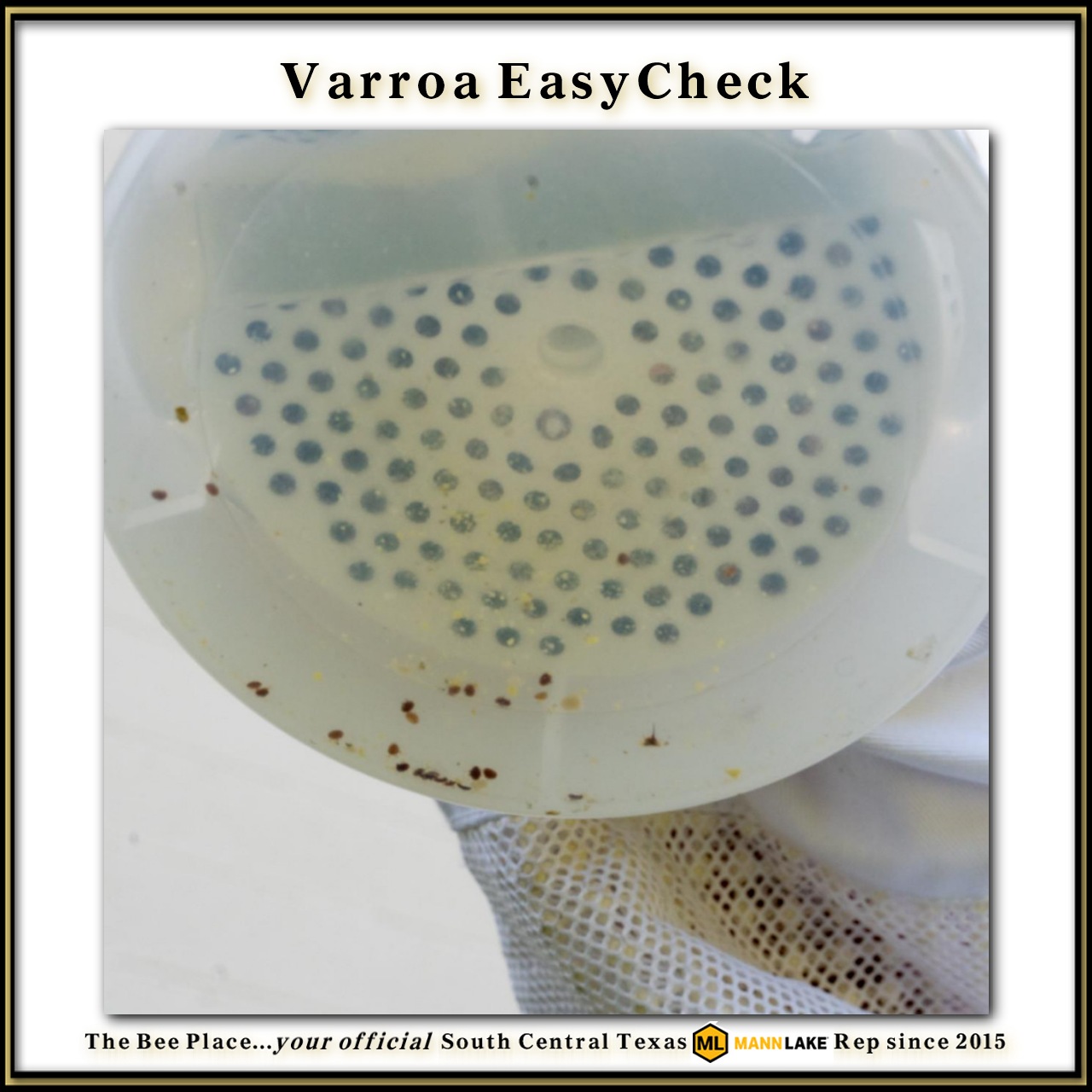 Varroa Easycheck Image 3
